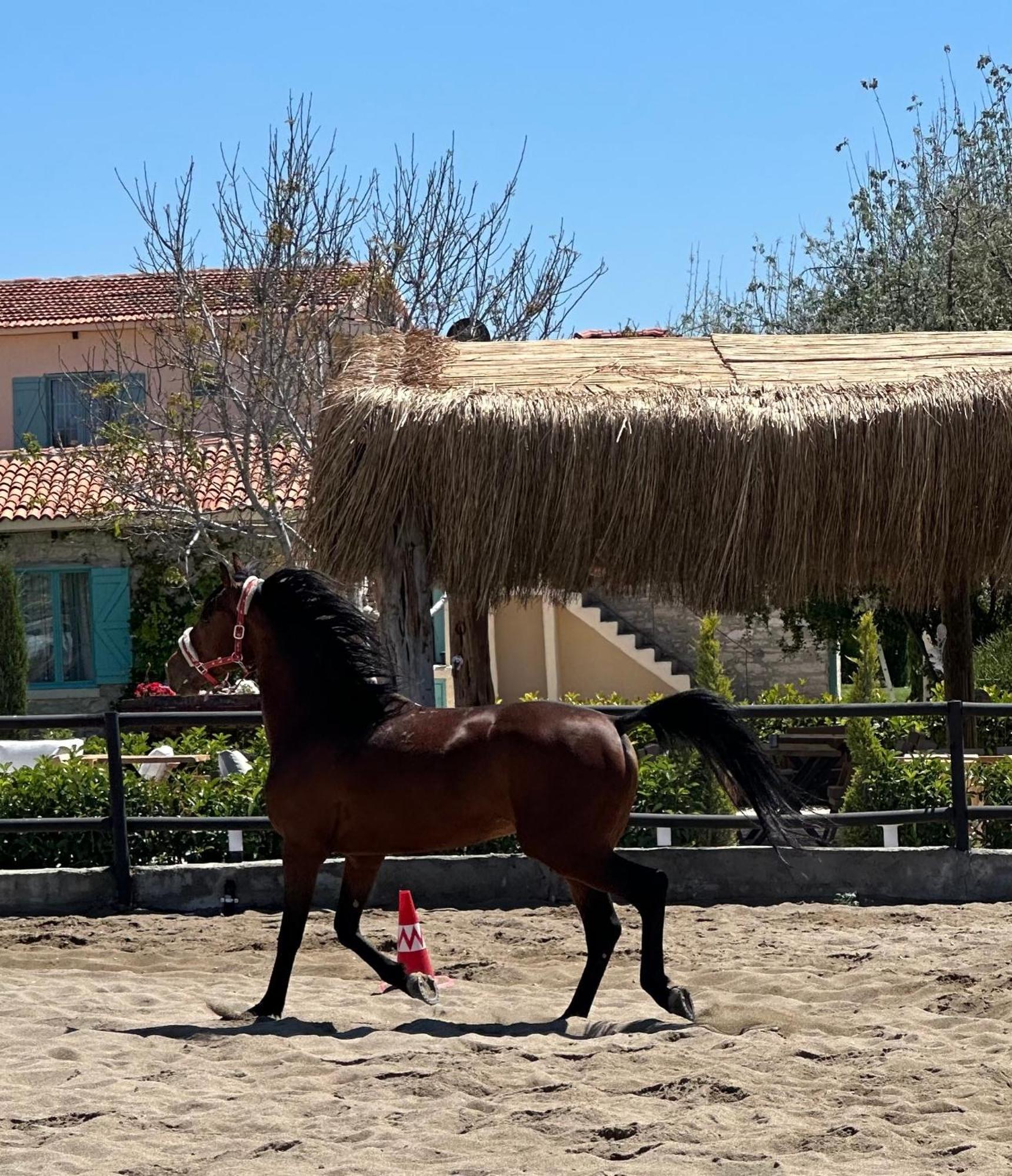 Ride And Stay Cesme Exterior photo